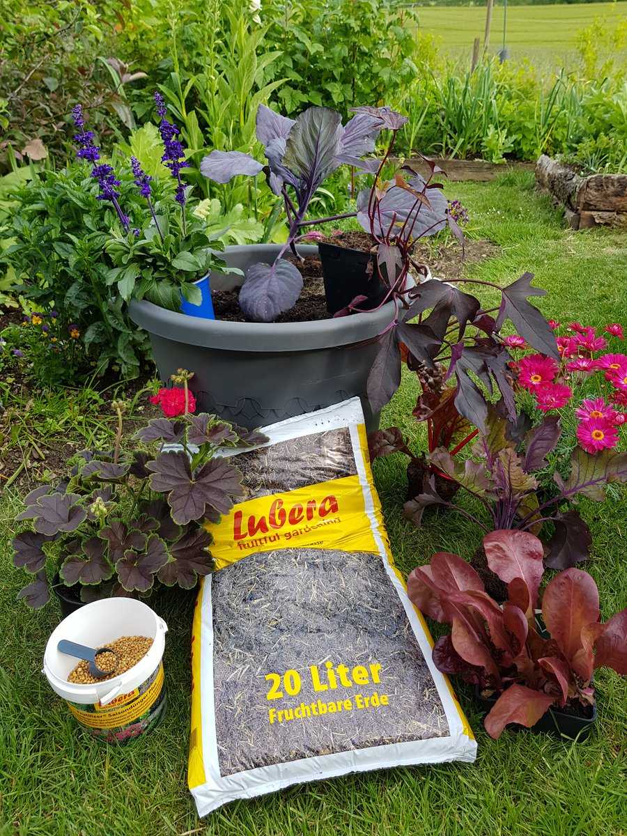 Containergarten Ranka Tessin Lubera