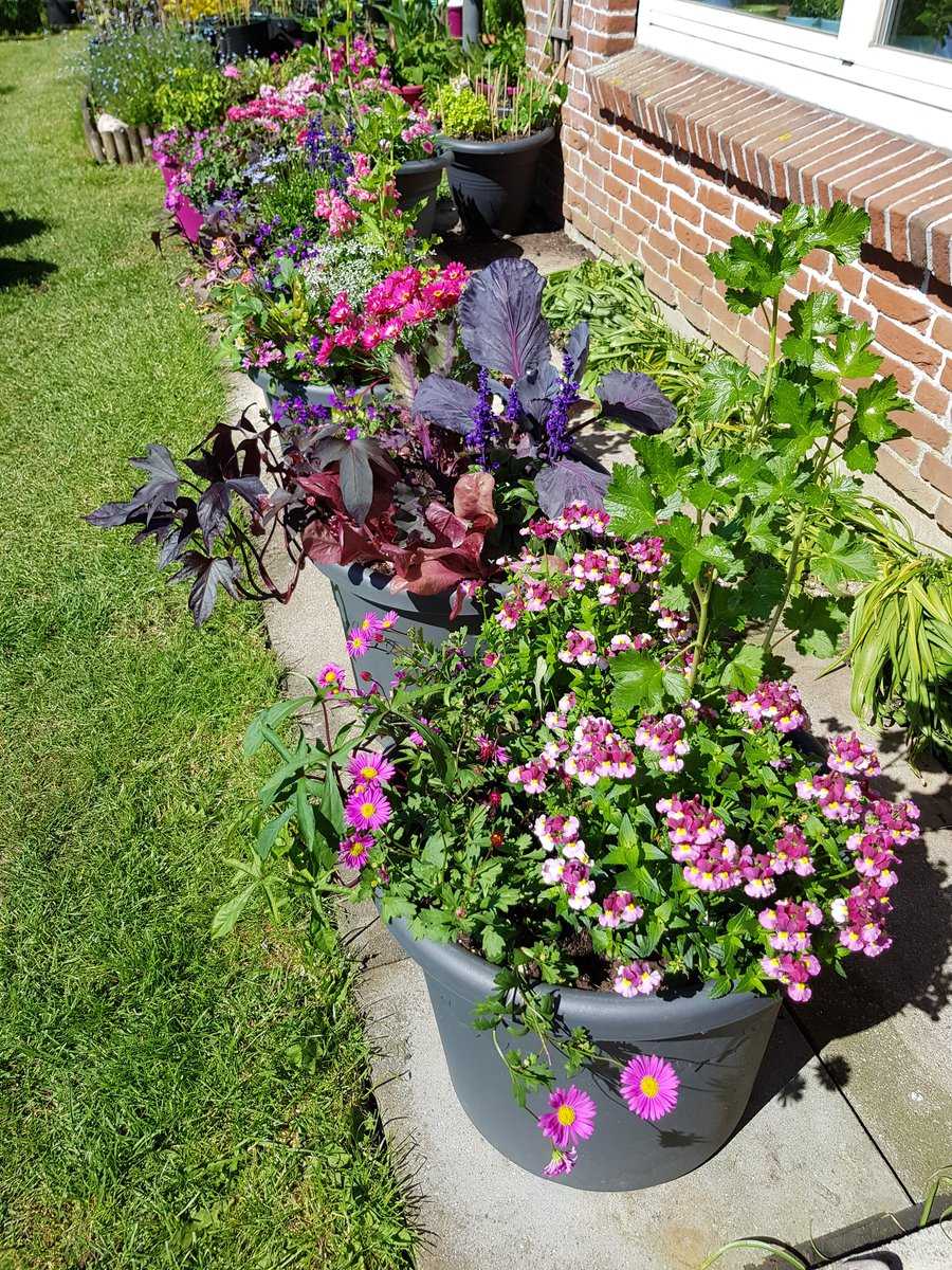 Containergarten Ranka Tessin Lubera