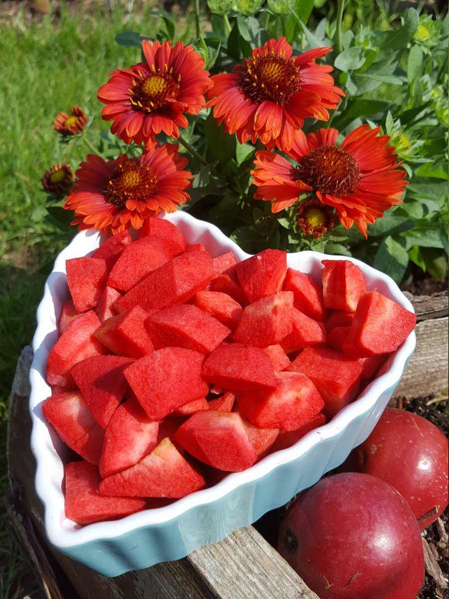 Redlove roter Apfel Lubera Ranka Tessin