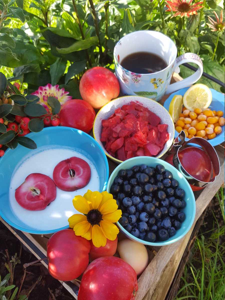 Redlove roter Apfel Lubera Ranka Tessin