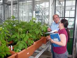 Die abenteuerliche Reise zu drei englischen Gartenfrauen