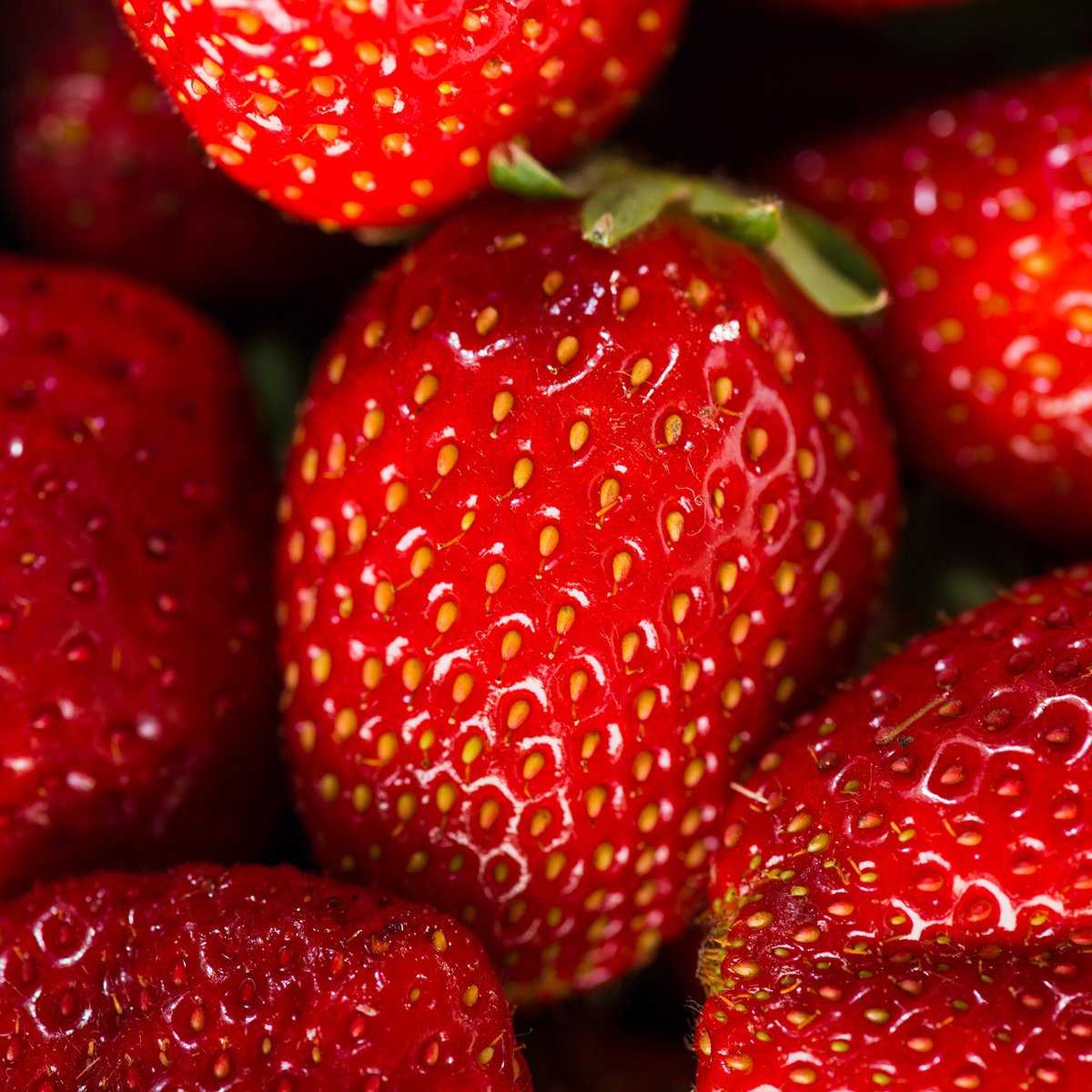 Erdbeeren Samen