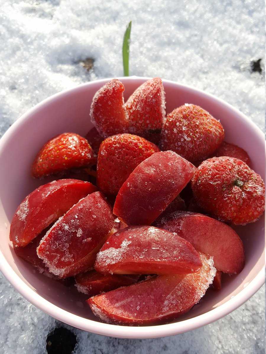 gefrorene Redlove Stücke und Erdbeeren Lubera
