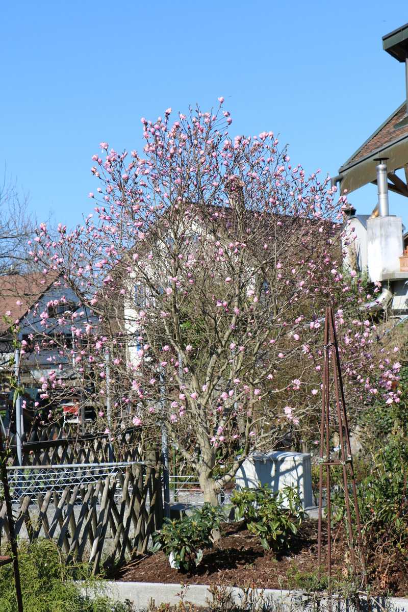 Karfreitag Nachmittag im Garten