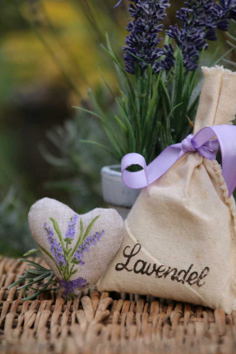 Lavendel zum Kräuterkissen selber nähen und füllen