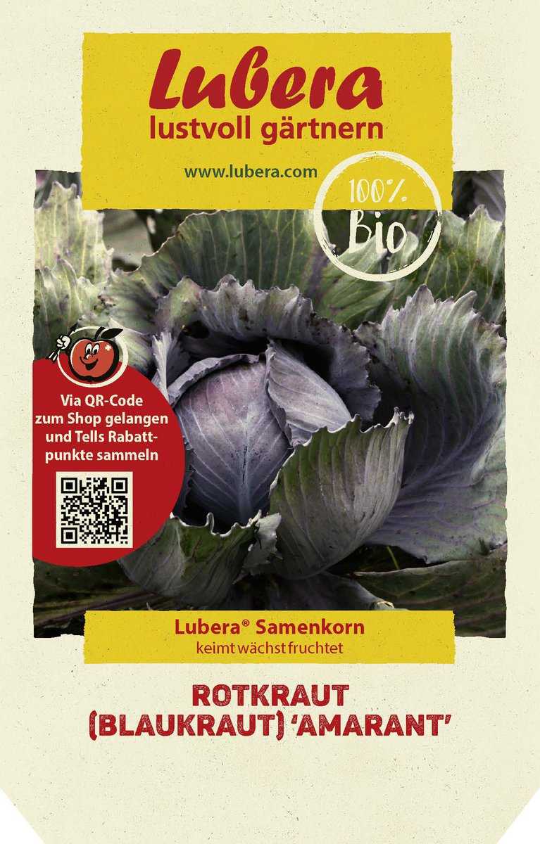 Rotkraut (Blaukraut) &amp;#39;Amarant&amp;#39;: Lubera.de