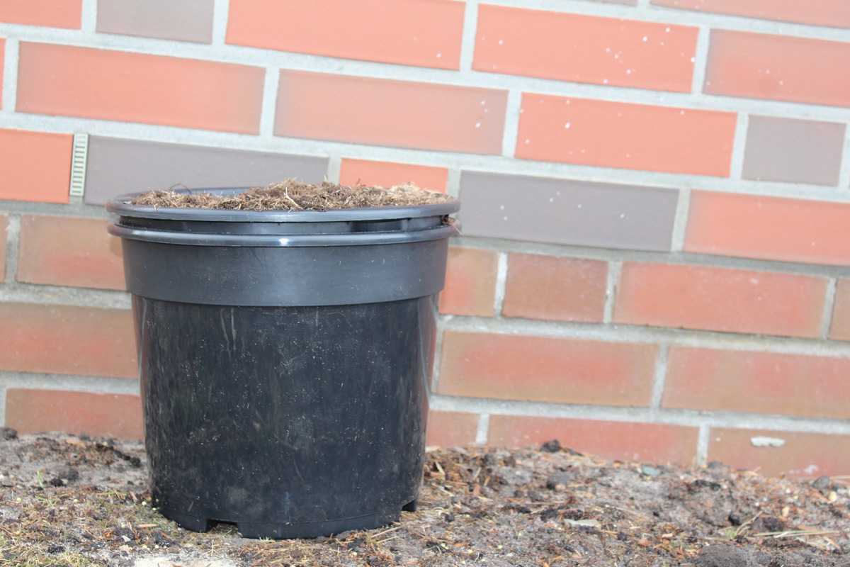 Potatopot - Der Kartoffeltopf für die einfach Kartoffelernte: Lubera.at