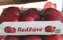 Redloves in aller Munde