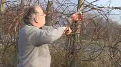 Schneidig in den Garten!