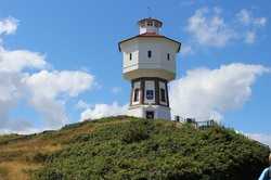 Sonne, Sanddorn und Rosen auf Langeoog