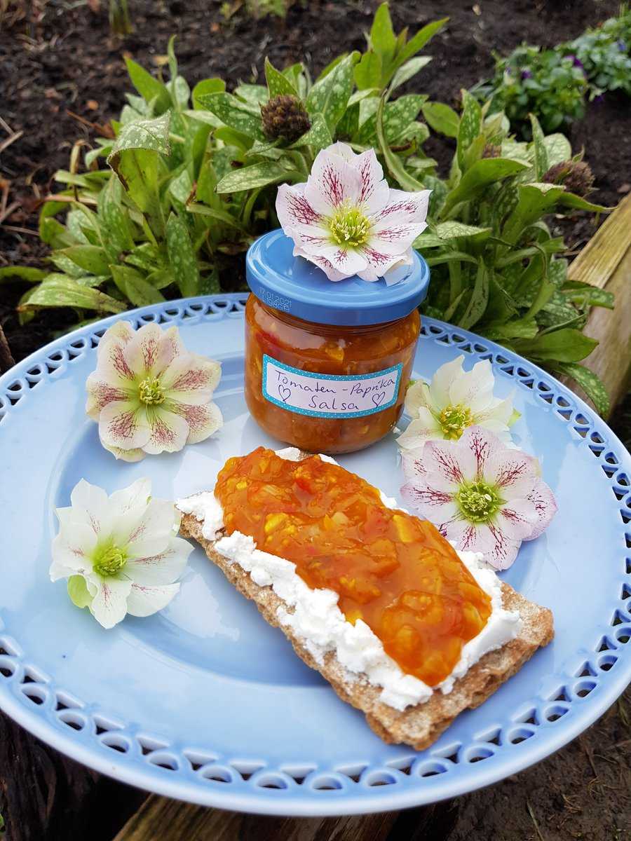 Tomaten machen glcklich Ranka Tessin