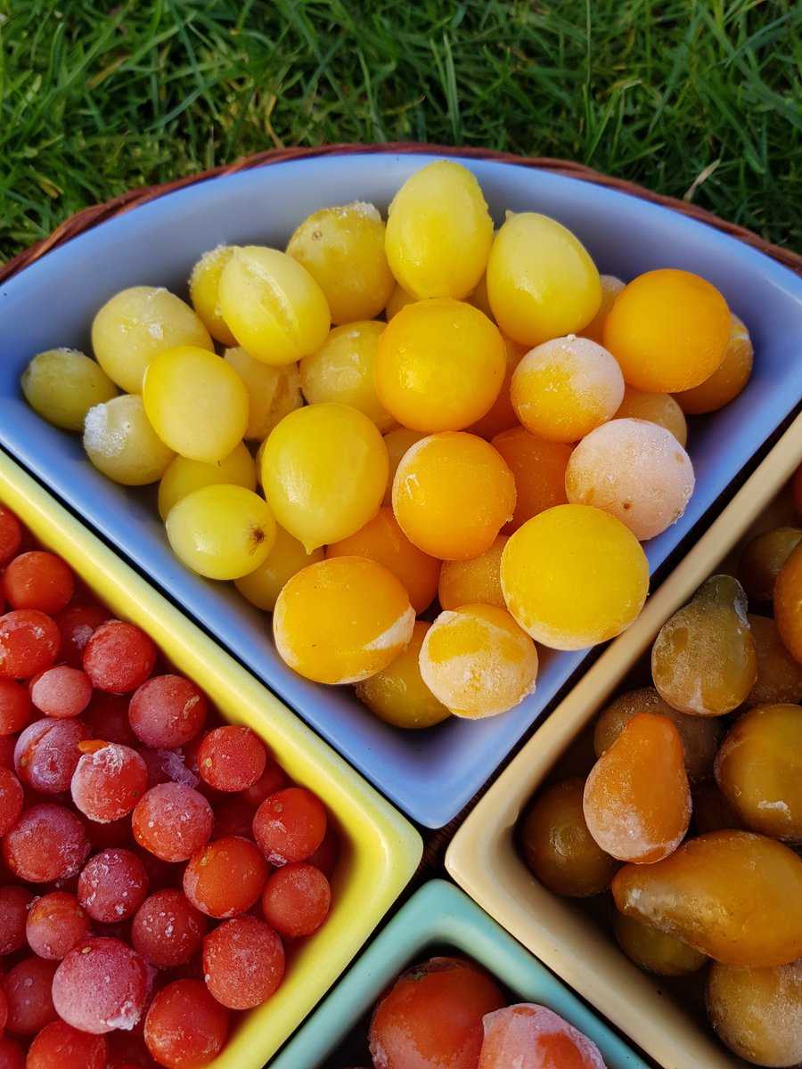 Tomaten machen glcklich Ranka Tessin