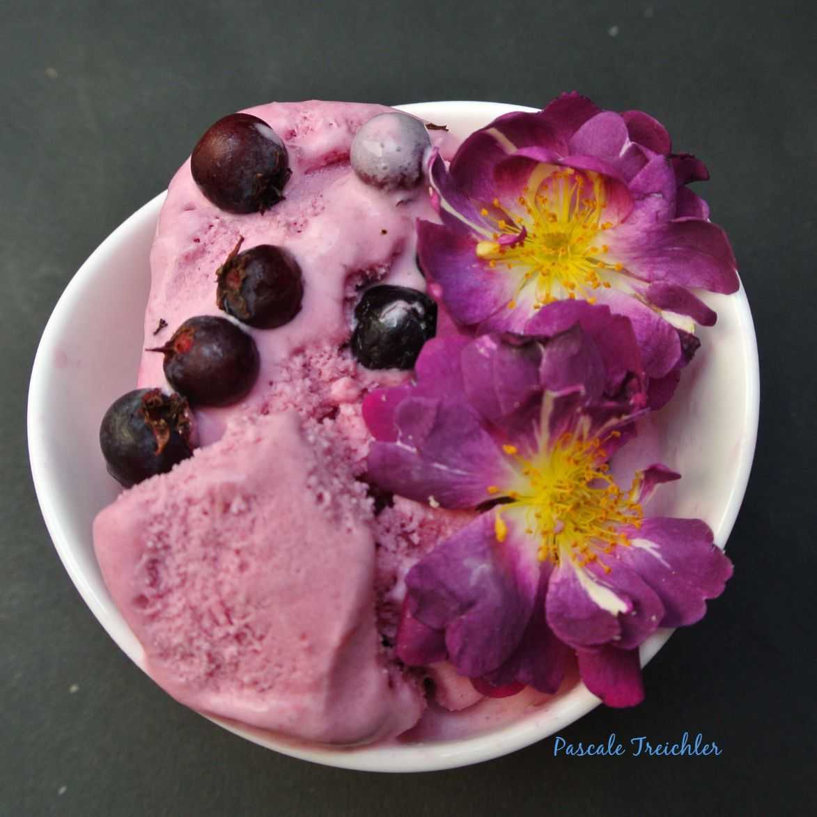 Veilchenblaues Heidelbeer-Joghurt-Glace