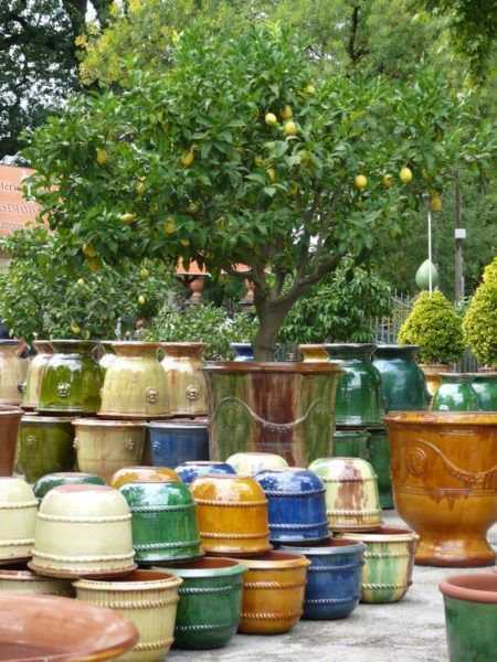 Vases d'Anduze