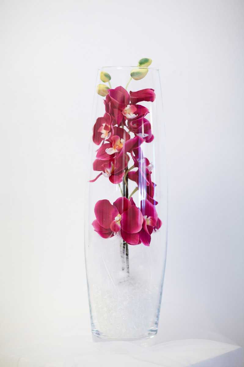 Orchideen im Glas dekorieren.