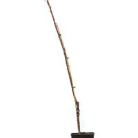 S�sskirsche Kordia