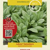 Spinat 'Winterriesen'