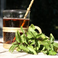 Pfefferminze ‘Mitcham’