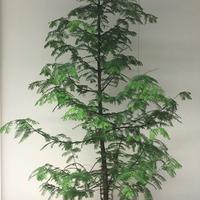 Nadelbaum