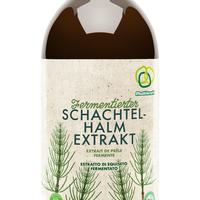 Schachtelhalm Extrakt Konzentrat 1 Liter