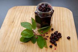 Aronia Apfel-Konfitüre Pascale Treichler