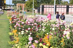 Floriade, Almere, Niederlande, Markus Kobelt, 2022