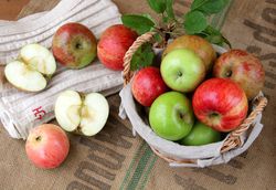 Sorten von Gestern, alte Apfelsorten