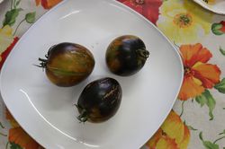 Heirloom Tomate Brads Atomic Grape (Solanum lycopersicum), grne tomaten