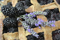 Brombeer-Crostata Pascale Treichler Lubera