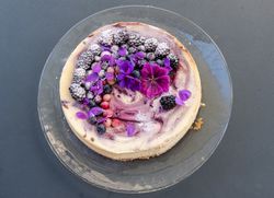 Cheesecake mit Cassis Swirl Pascale Treichler Rezept Lubera