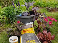 Containergarten Ranka Tessin Lubera