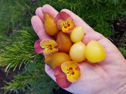 Tomaten Ranka Tessin