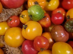 Heirloom Tomaten Titelbild pixabay