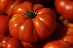 Heirloom Tomaten Titelbild pixabay