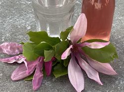 >Magnolienblten Sirup