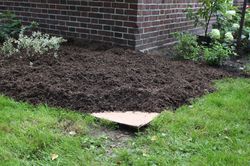 Mulchen mit Pappe, Mulch, No Dig Gardening, Alternative zu Unkrautvlies, Lubera