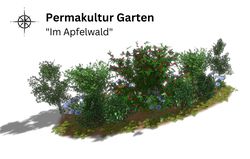 Permakultur Garten Pflanzbeet Im Apfelwald, Lubera