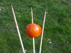 Schneckenwaffe mit Tomate statt Schnecke Ranka Tessin