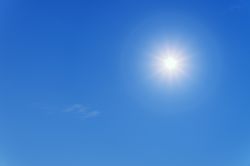Die Sonne Scheint Soll Der Frostschutz Jetzt Weg Lubera