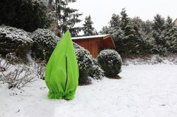 Vterchen Frost Lubera Frostschutzhhllen