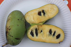 Was Pawpaw mit Papaya zu tun und nicht zu tun hat