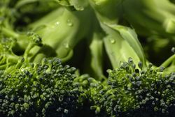 Brokkoli Samen, Broccoli, Brassica oleracea var. italica, Lubera