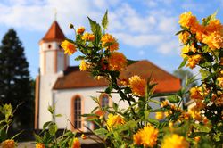 Sommergarten Predigt Lubera