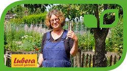 Gartenvideo, Lubera, Anja und Andreas, Dahlien pinzieren