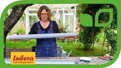 Anja und Andreas, Gartenvideo, Lubera, Dachrinne bepflanzen