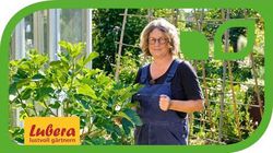 Anja und Andreas, Gartenvideo, Feigenbaum Gustis Ficcolino