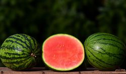 Kernlose Wassermelonen Citrullus lanatus Lubera