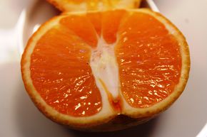 Frühe Mandarine 'Avena apirena'