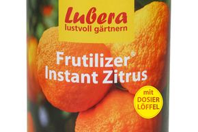 Frutilizer® Instant Zitrus Zitrusdünger
