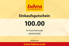 Pflanzen-Gutschein 100